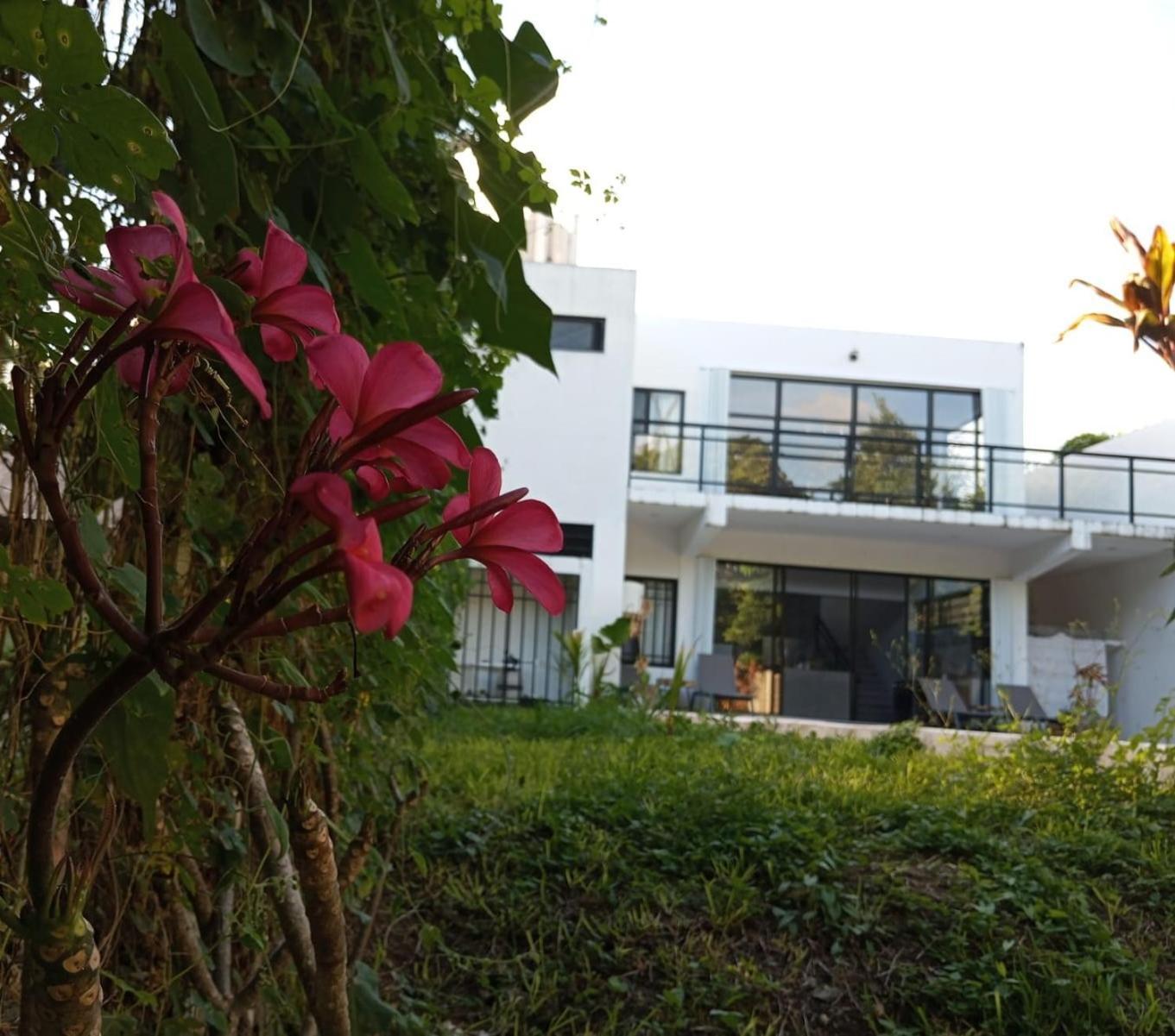 Séjour chez l'habitant Casa Bosque Luciernagas